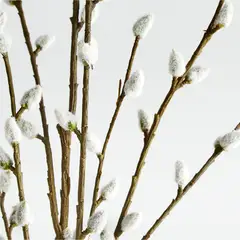 CRATE & BARREL - Rama De Sauce Sintética