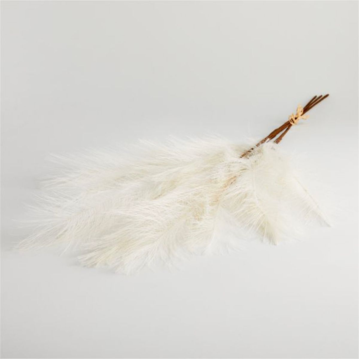 CRATE & BARREL - Tallo Pampas Crate & Barrel