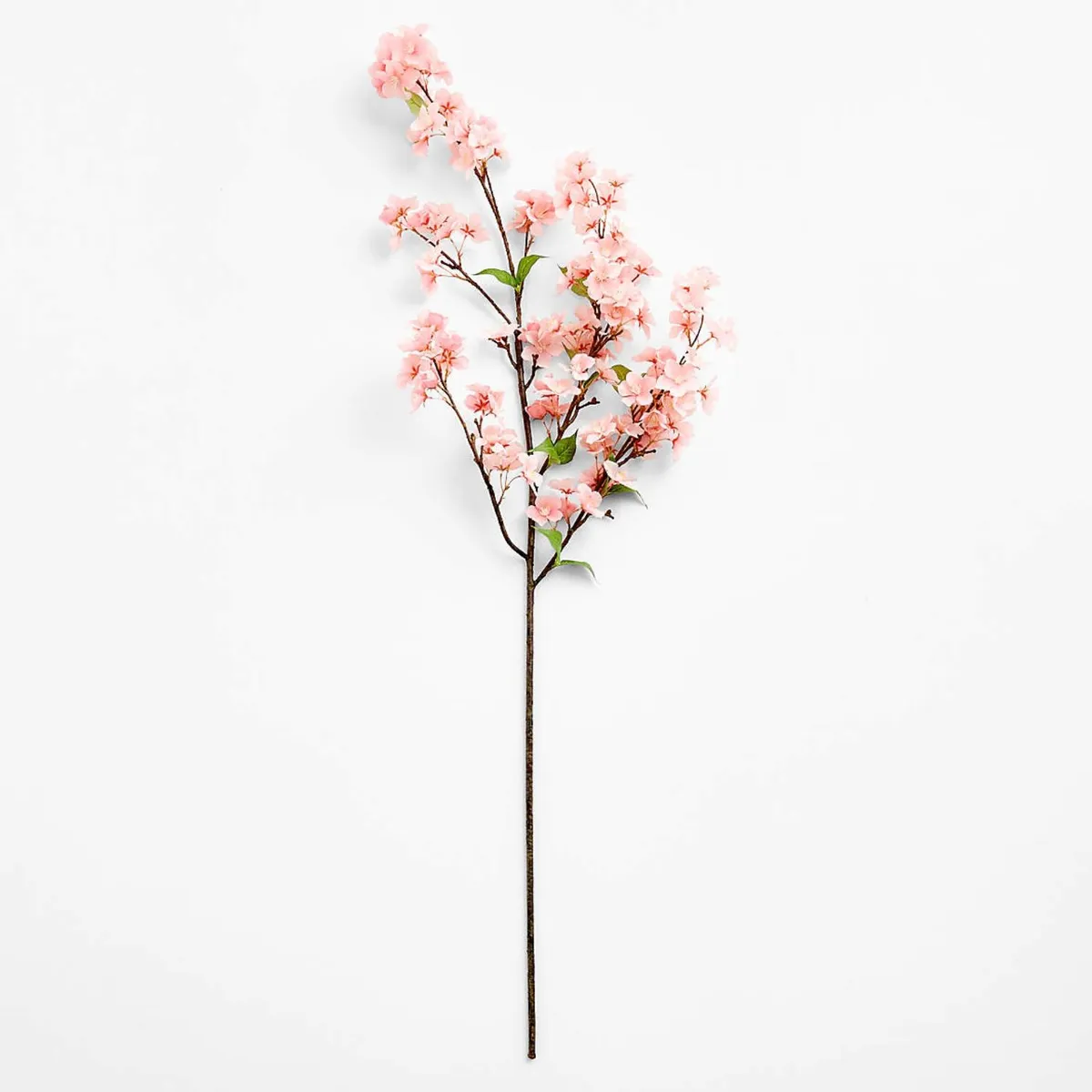 CRATE & BARREL - Rama Artificial Cherry Blossom Pink 127Cm Crate & Barrel