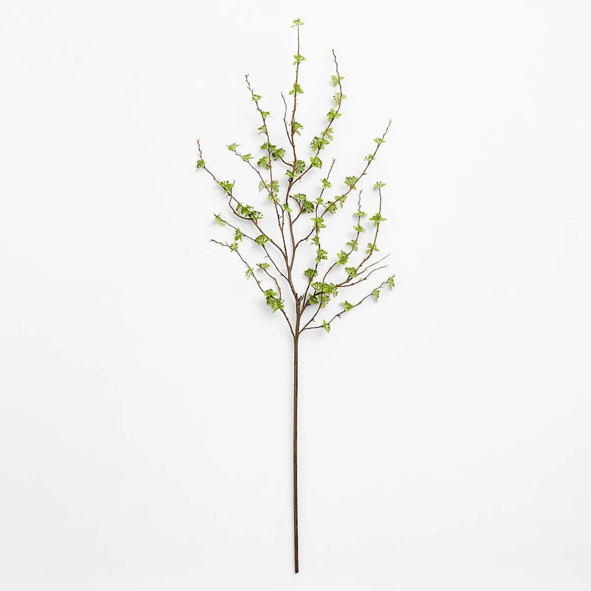 CRATE & BARREL - Rama Artificial De Hojas Verdes 130Cm Crate & Barrel