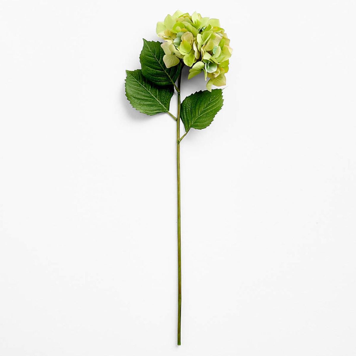 CRATE & BARREL - Rama artificial de hortensia verde 76cm
