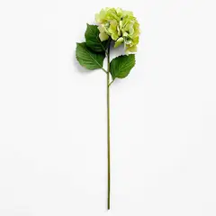 CRATE & BARREL - Rama artificial de hortensia verde 76cm