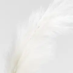 CRATE & BARREL - Tallo Pampas Ivory