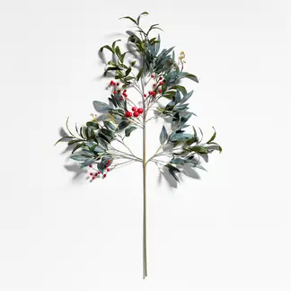 CRATE & BARREL - Tallo De Aceituna Y Bayas