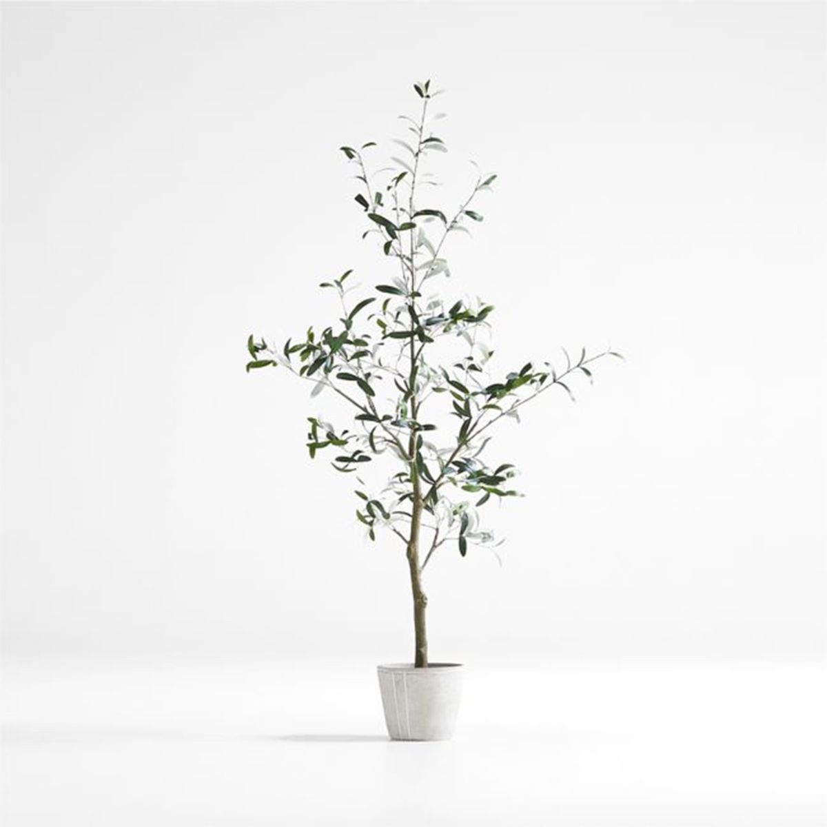 CRATE & BARREL - Árbol Artificial De Olivo En Maceta Crate & Barrel