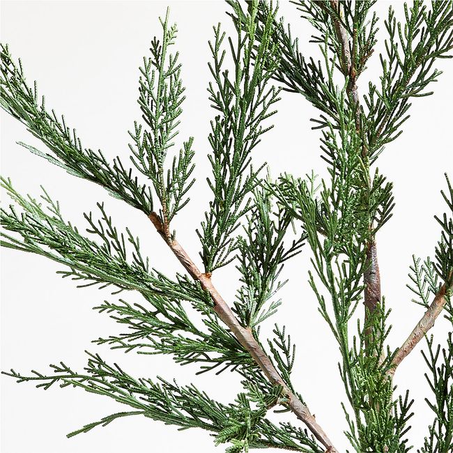 CRATE & BARREL - Rama Artificial Cipres Crate & Barrel
