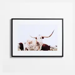 CRATE & BARREL - Arte De Pared Freckled Fran Add J