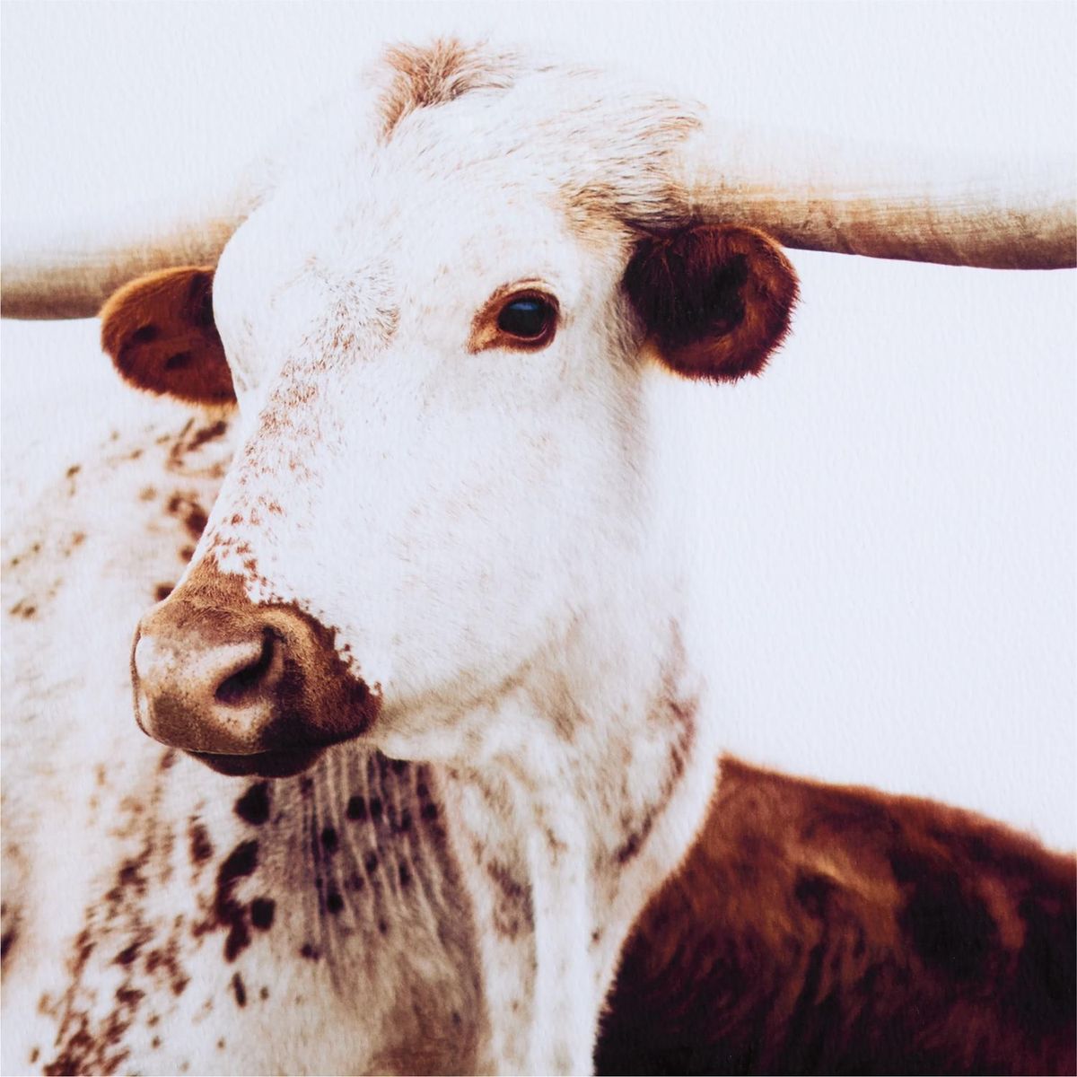 CRATE & BARREL - Arte De Pared Freckled Fran Add J Crate & Barrel