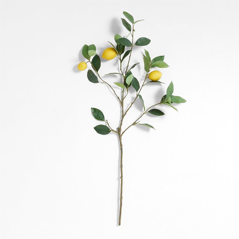 CRATE & BARREL - Tallo Artificial Limon 97cm Crate & Barrel