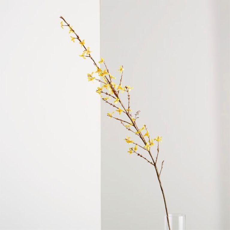 CRATE & BARREL Rama Artificial Forsythia
