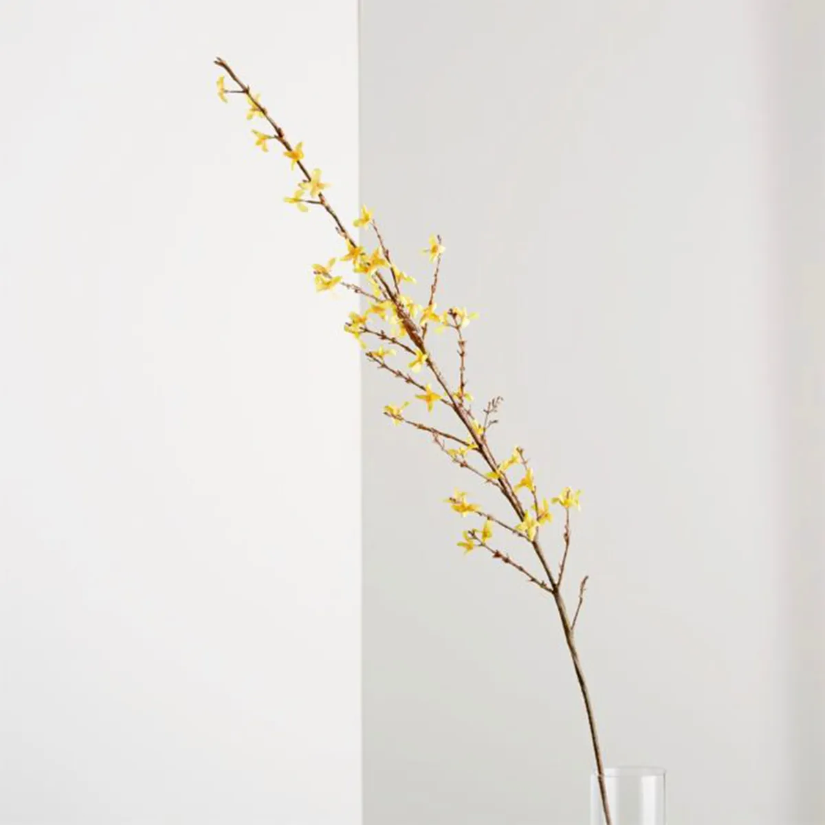 CRATE & BARREL - Rama Artificial Forsythia Crate & Barrel