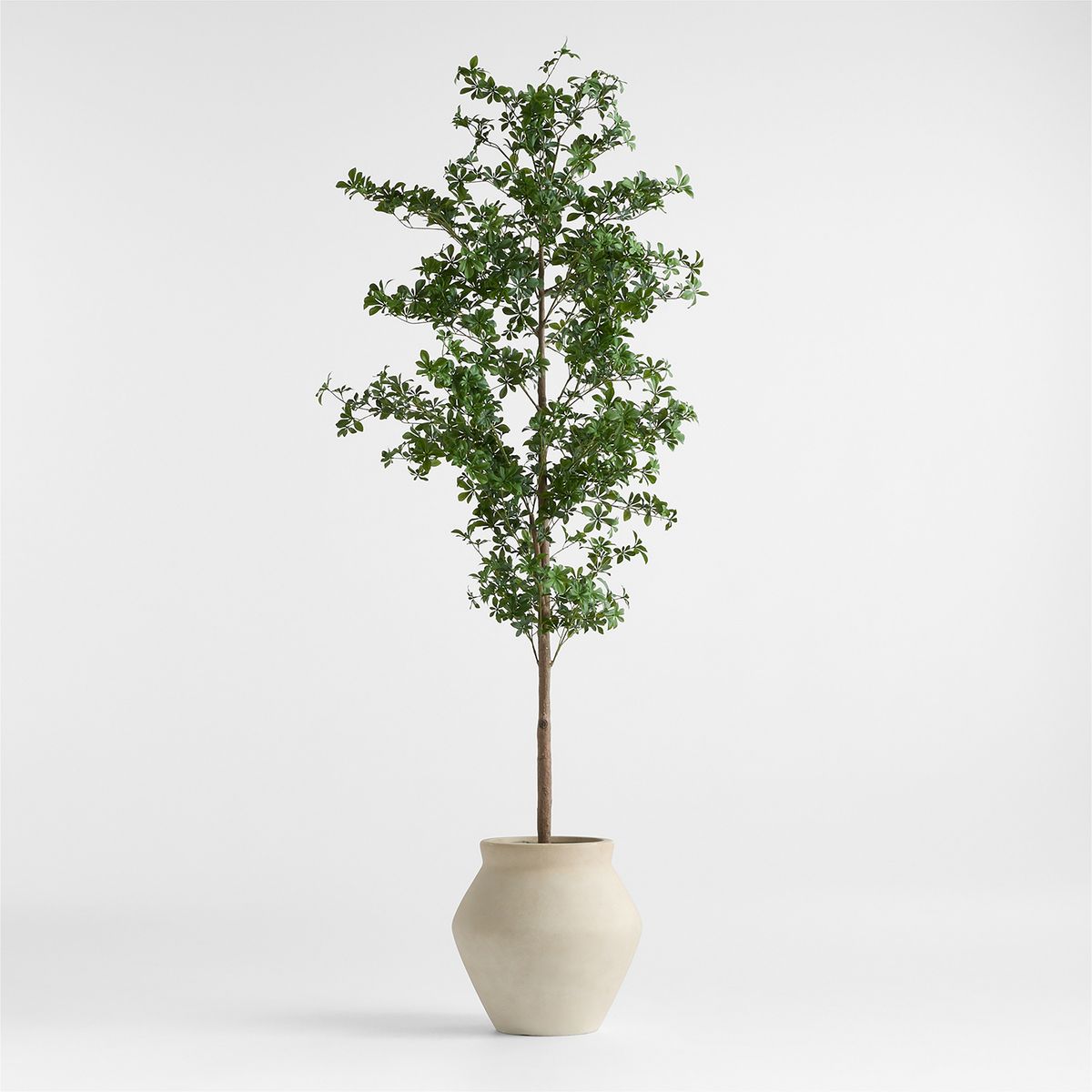 CRATE & BARREL - Árbol Artificial Olivo Negro En M Crate & Barrel