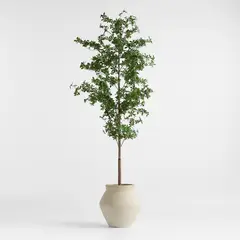 CRATE & BARREL - Árbol Artificial Olivo Negro En M