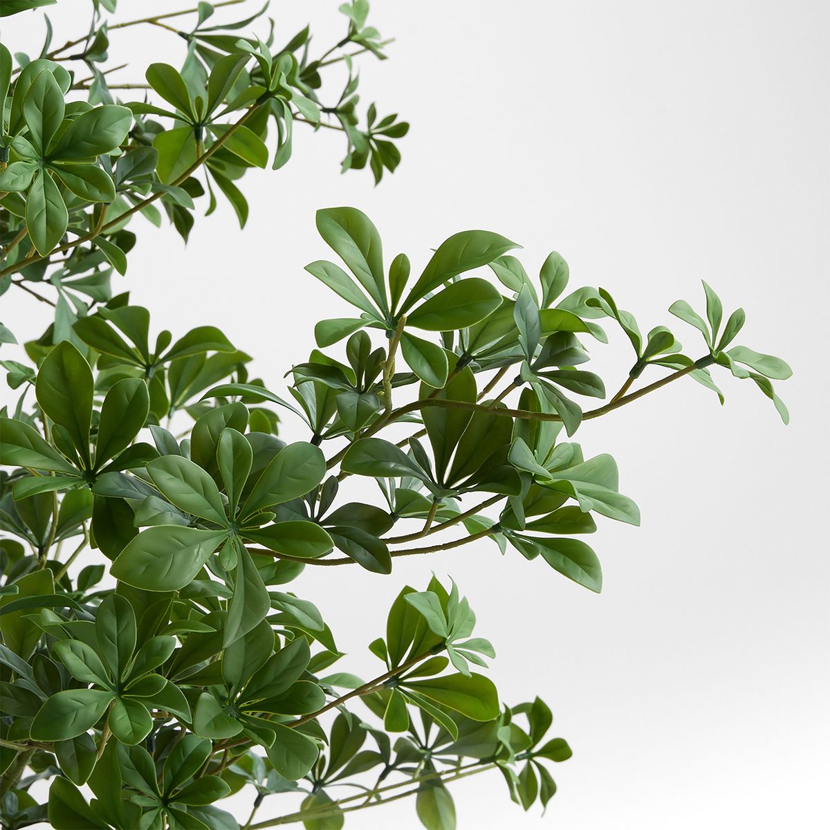 CRATE & BARREL - Árbol Artificial Olivo Negro En M Crate & Barrel