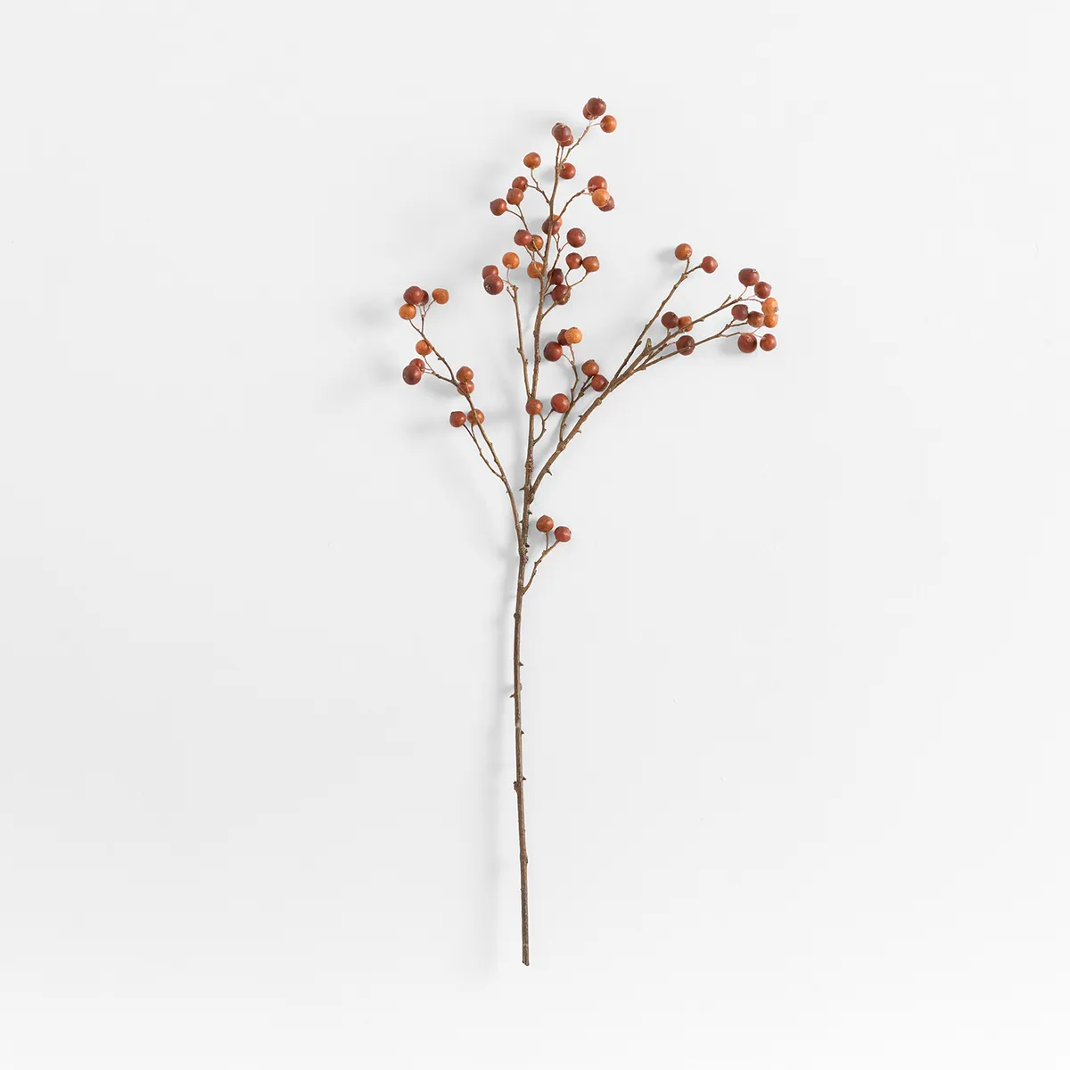 CRATE & BARREL - Ramo Artificial Escaramujo Abigail Crate&Barrel