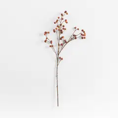 CRATE & BARREL - Ramo Artificial Escaramujo Abigail Crate&Barrel