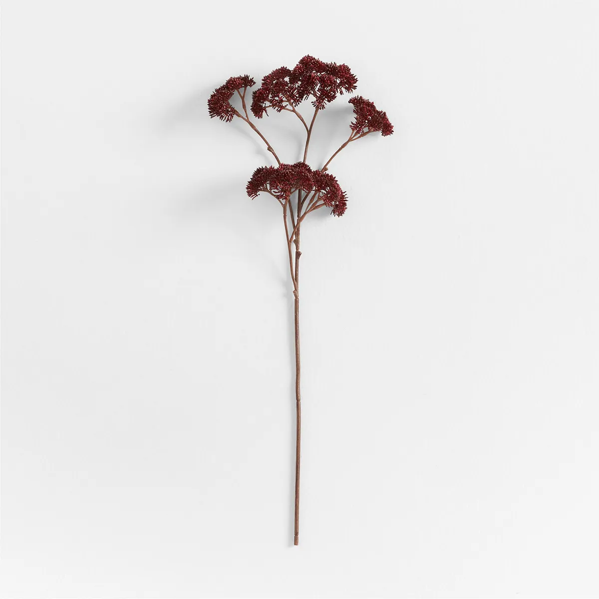 CRATE & BARREL - Rama Artificial de Sedum 58 cm Crate&Barrel