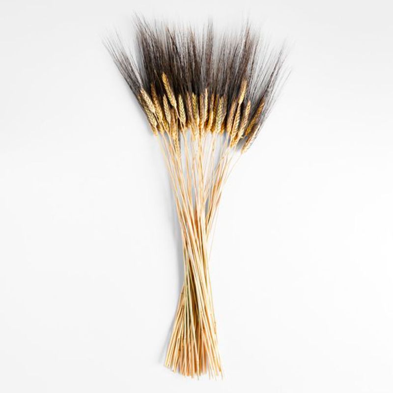 CRATE & BARREL - Ramas Trigo Seco