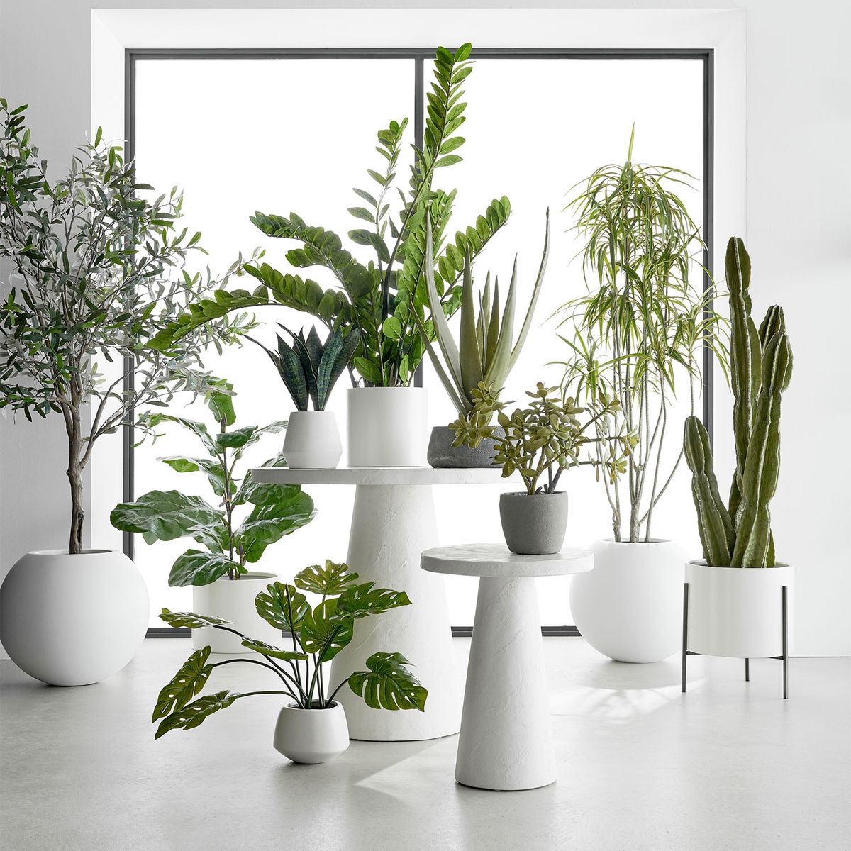 CRATE & BARREL - Jade Sintetico En Maceta Crate & Barrel