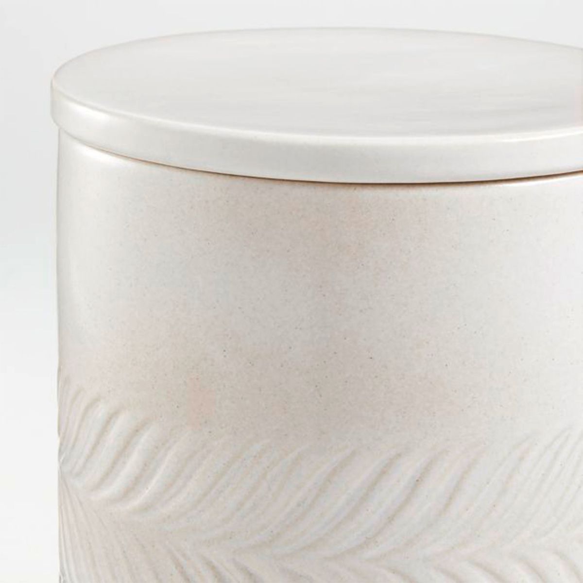 CRATE & BARREL - Contenedor Fern Crate & Barrel