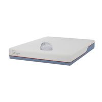 Colchón Excellence Plus 2 Plazas X 1.90Mt + Cubre Colchón