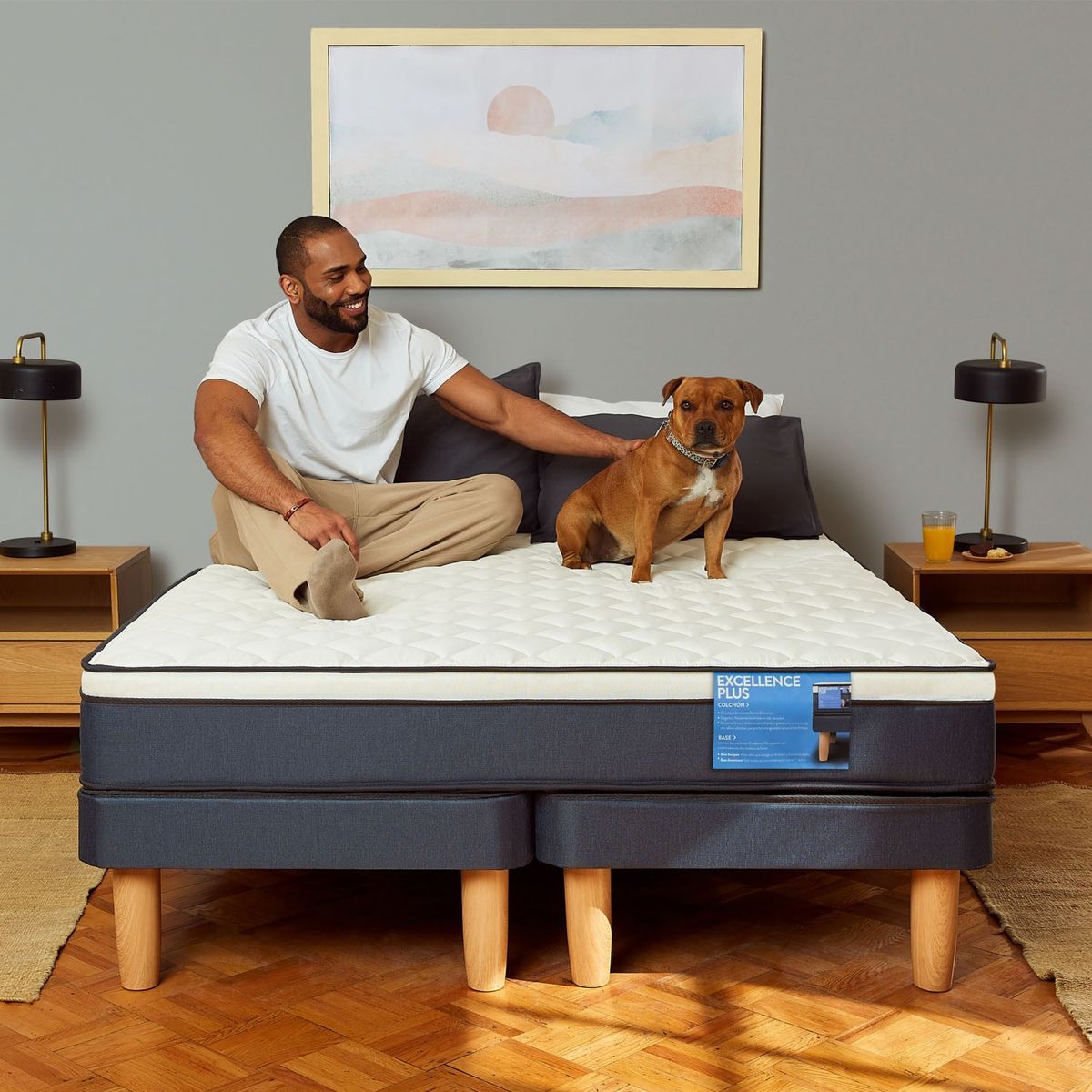 CIC - Cama Europea Excellence Plus 2 Plazas x 2.00 mt base dividida + 2 Almohadas CIC