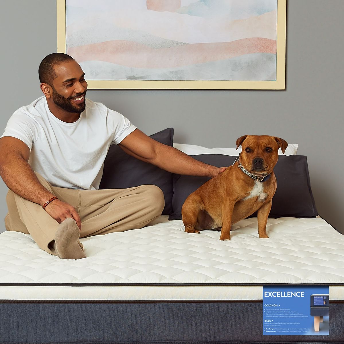 CIC - Camarote New Coventry 1 Plaza + Colchones Excellence Plus Cic