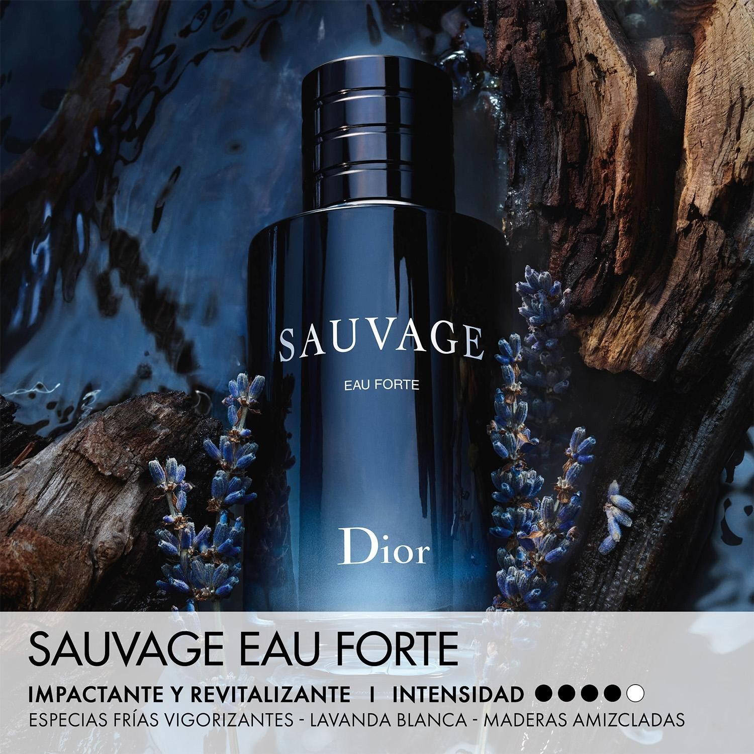 DIOR Perfume Hombre Sauvage Eau Forte - Sin alcohol - Notas