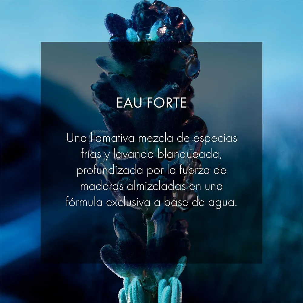 Dior Sauvage Eau Forte EDP 60 ml, foto 4