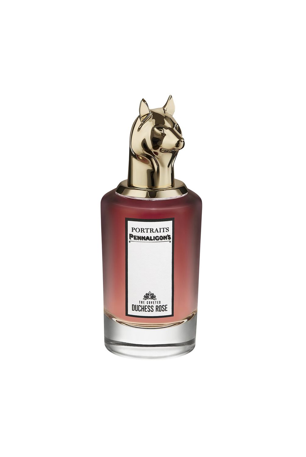 w=1004,h=1500,fit=pad