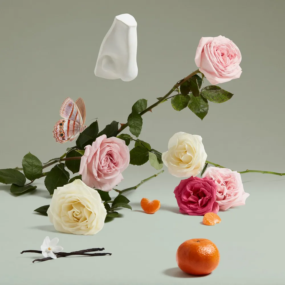 Penhaligon's The Coveted Duchess Rose EDP 75 ml, foto 3