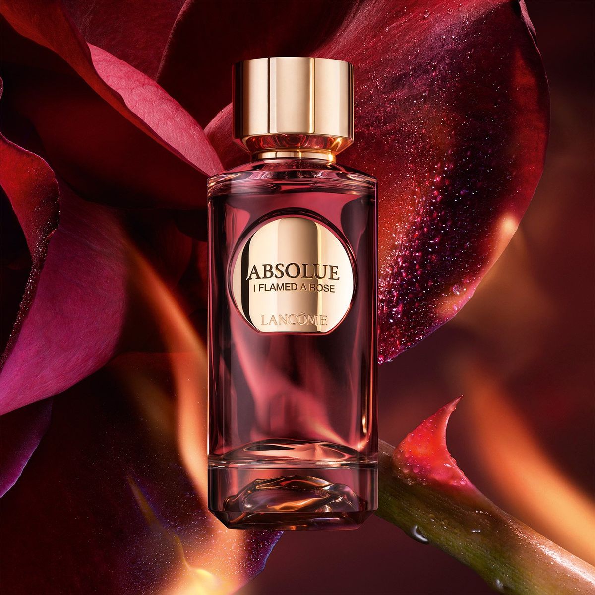 LANCOME - Perfume Mujer Absolue Rose Or Die Edp 100Ml Lancome