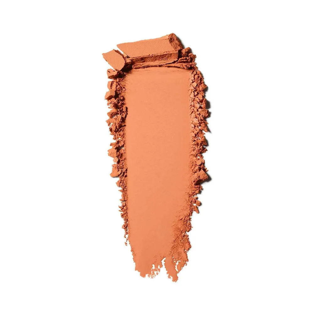 Mac Studio Fix Powder Plus Foundation Refill NW40, foto 2