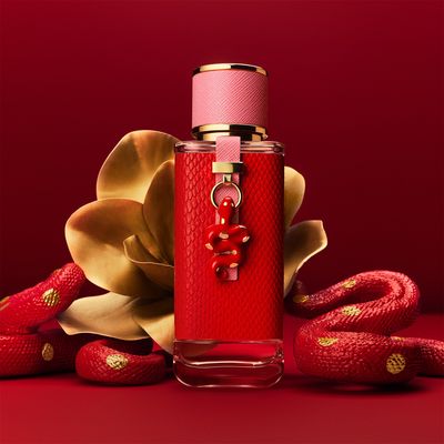 Imagen 2 del producto Charm Snake