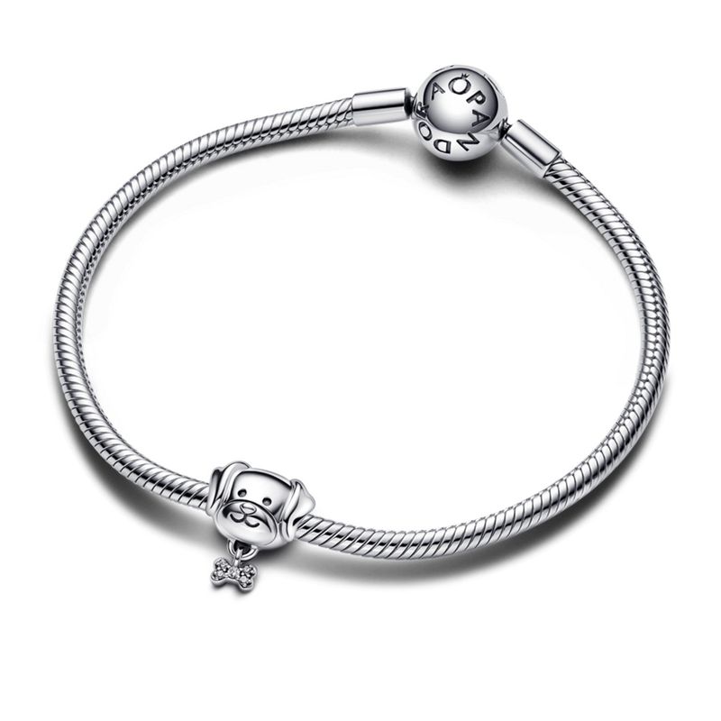PANDORA - Gift Set Amor de Mascota PANDORA GRIS 21