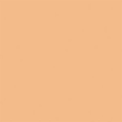 Imagen 2 del producto Corrector All Hours LN4 15ml