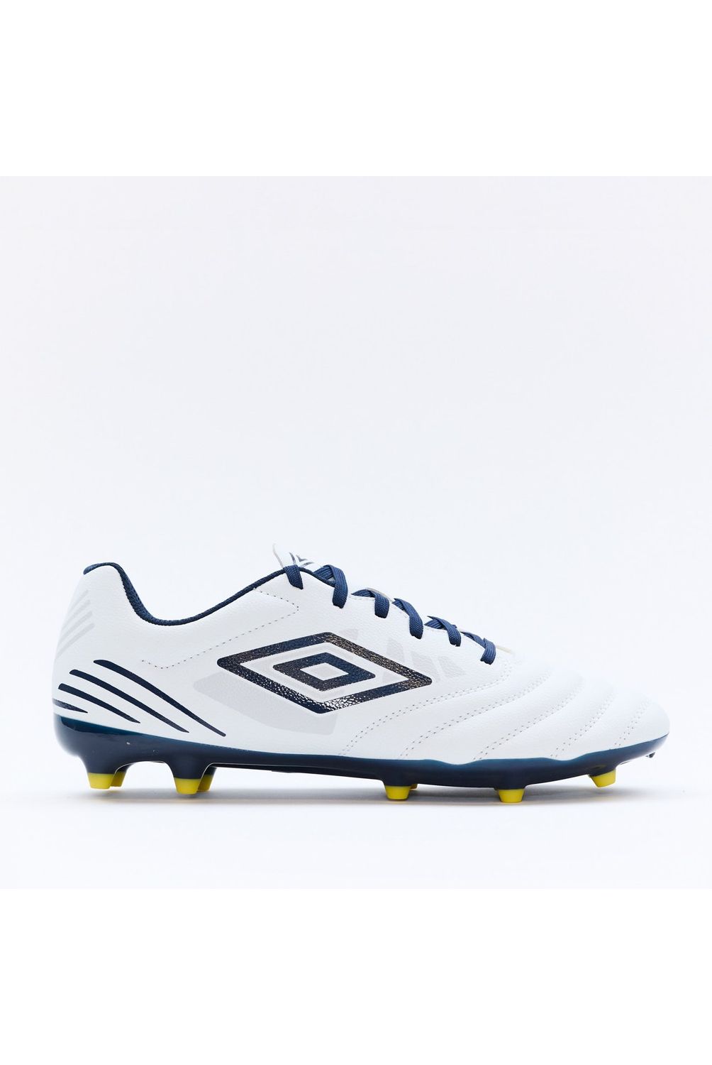 w=1004,h=1500,fit=pad