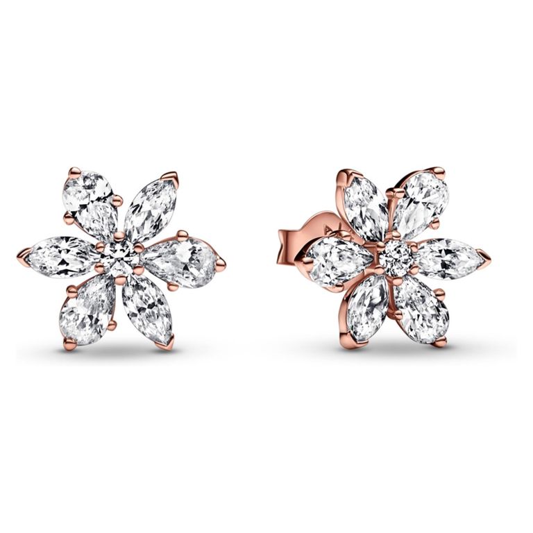Aretes de Boton Herbario Mujer