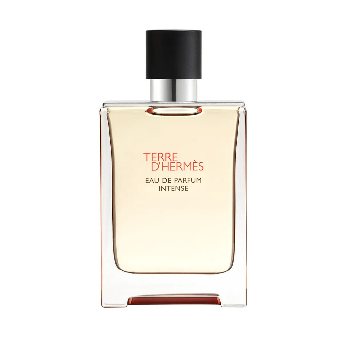 HERMES - Terre D'Hermes EDP Intense 100Ml
