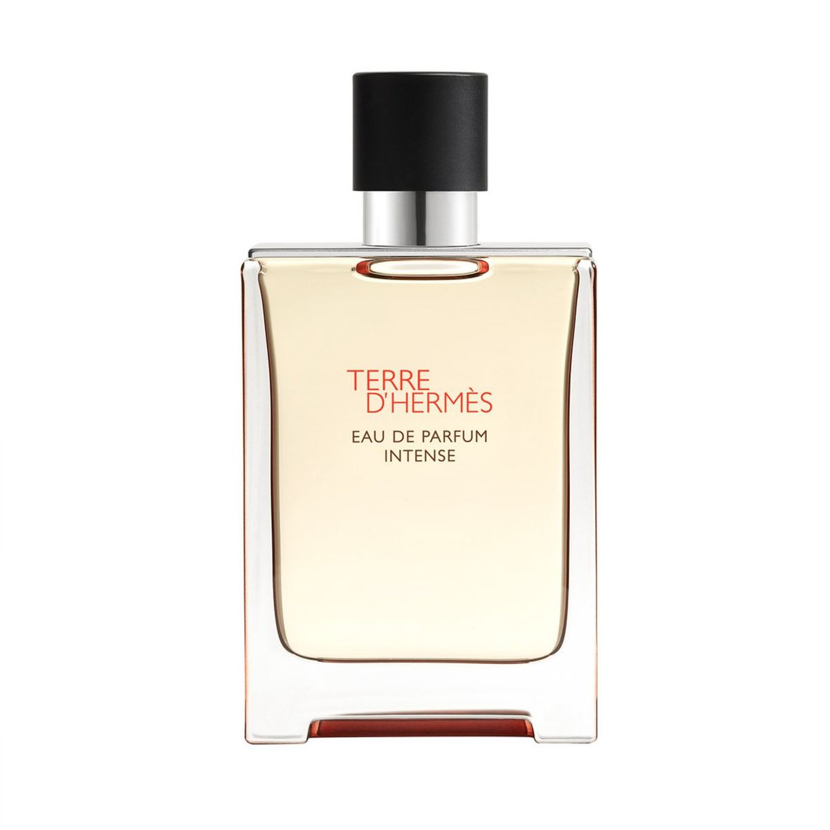 HERMES - Terre D'Hermes EDP Intense 100Ml