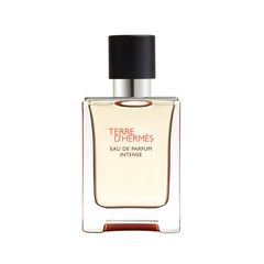 HERMES Terre D'Hermes EDP Intense 100Ml | falabella.com