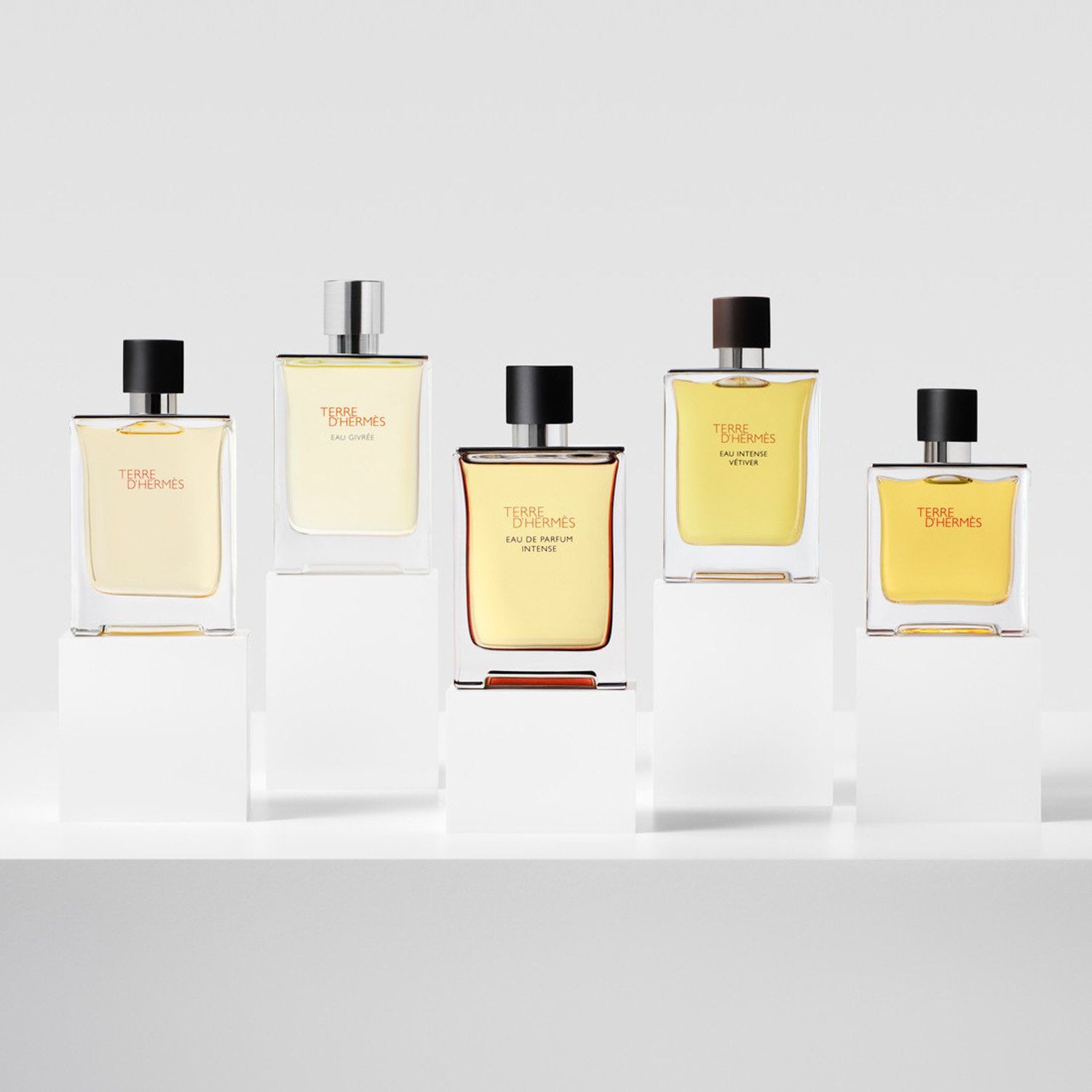 HERMES Terre D'Hermes EDP Intense 200Ml Refill | Falabella Chile