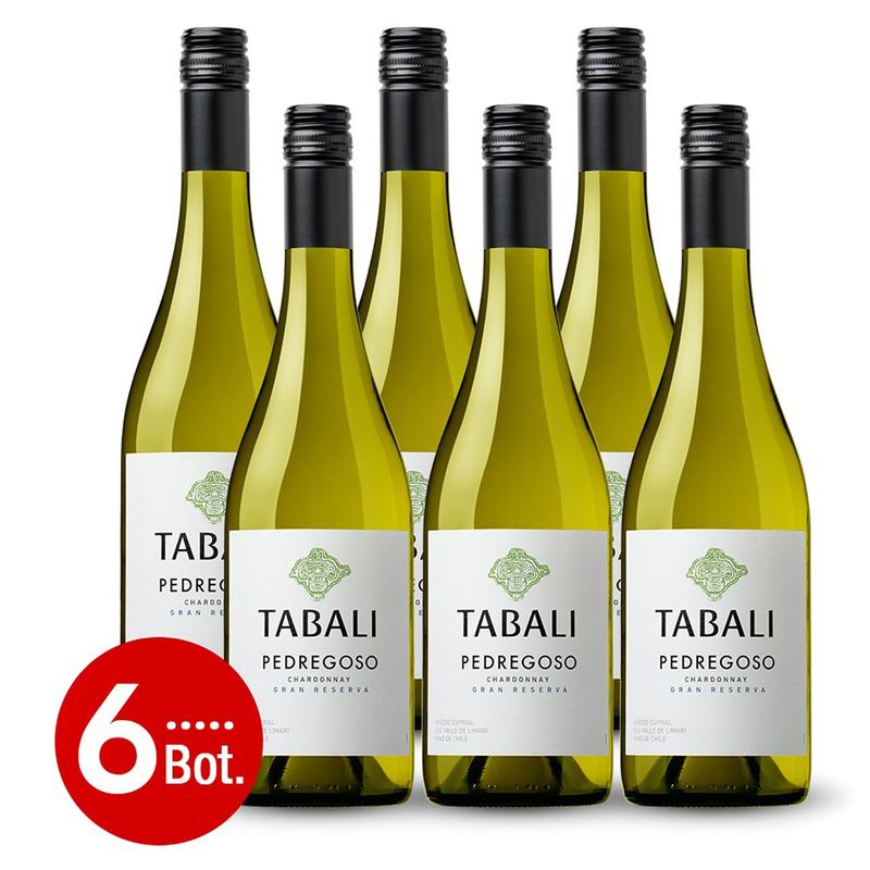 EL MUNDO DEL VINO - Caja x6 Tabali Pedregoso Gran Reserva Chardonnay