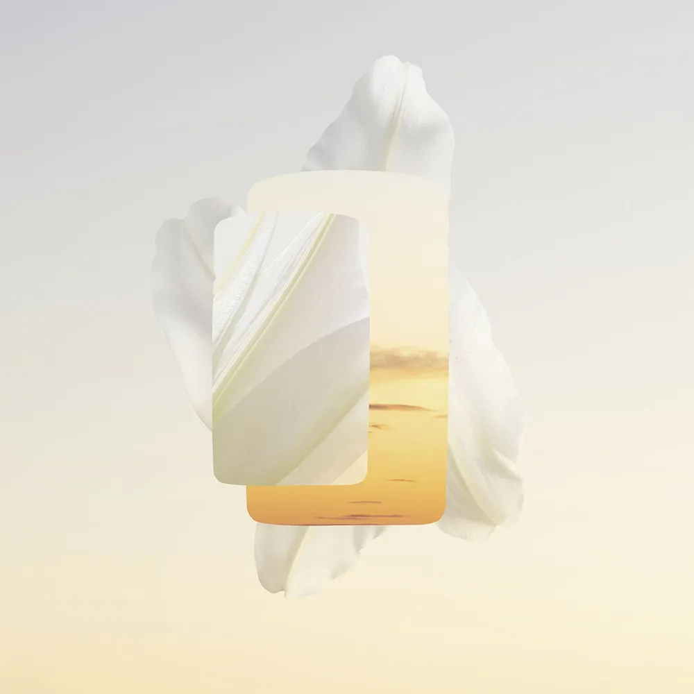 Cartier Baiser Volé Parfum 100 ml, foto 3