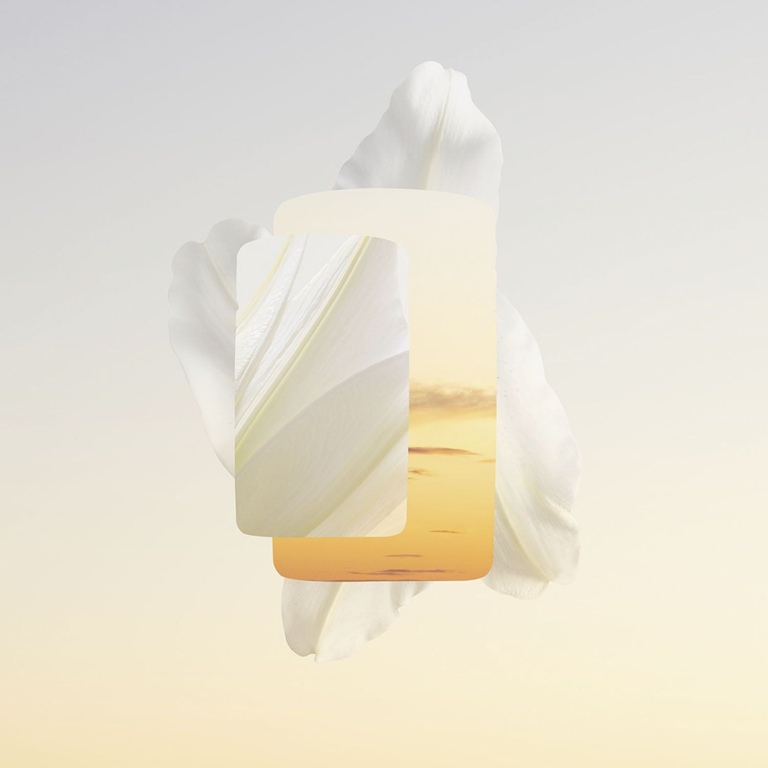 CARTIER Perfume Mujer Baiser Vole Parfum 100Ml Cartier | Falabella