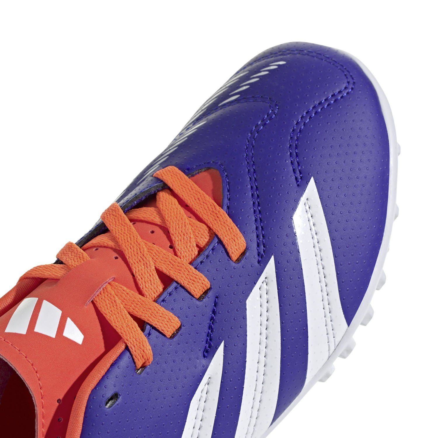 Feature Image 1