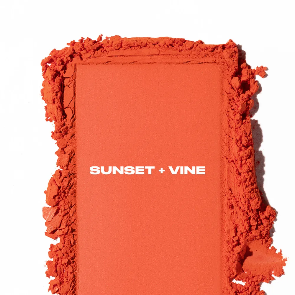 Urban Decay Face Bond Blush Sunset + Vine, foto 3