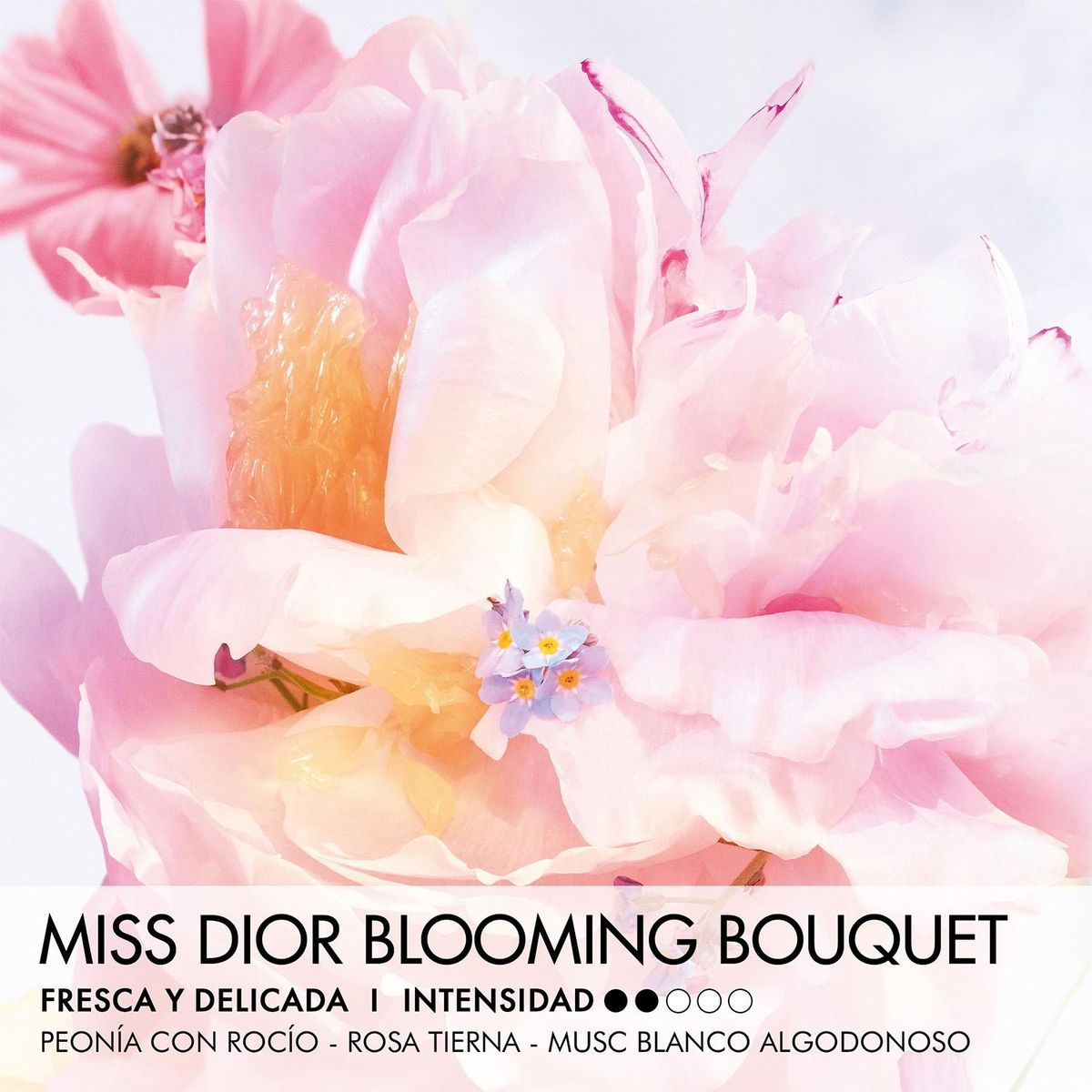 DIOR - Perfume Mujer EDT Dior