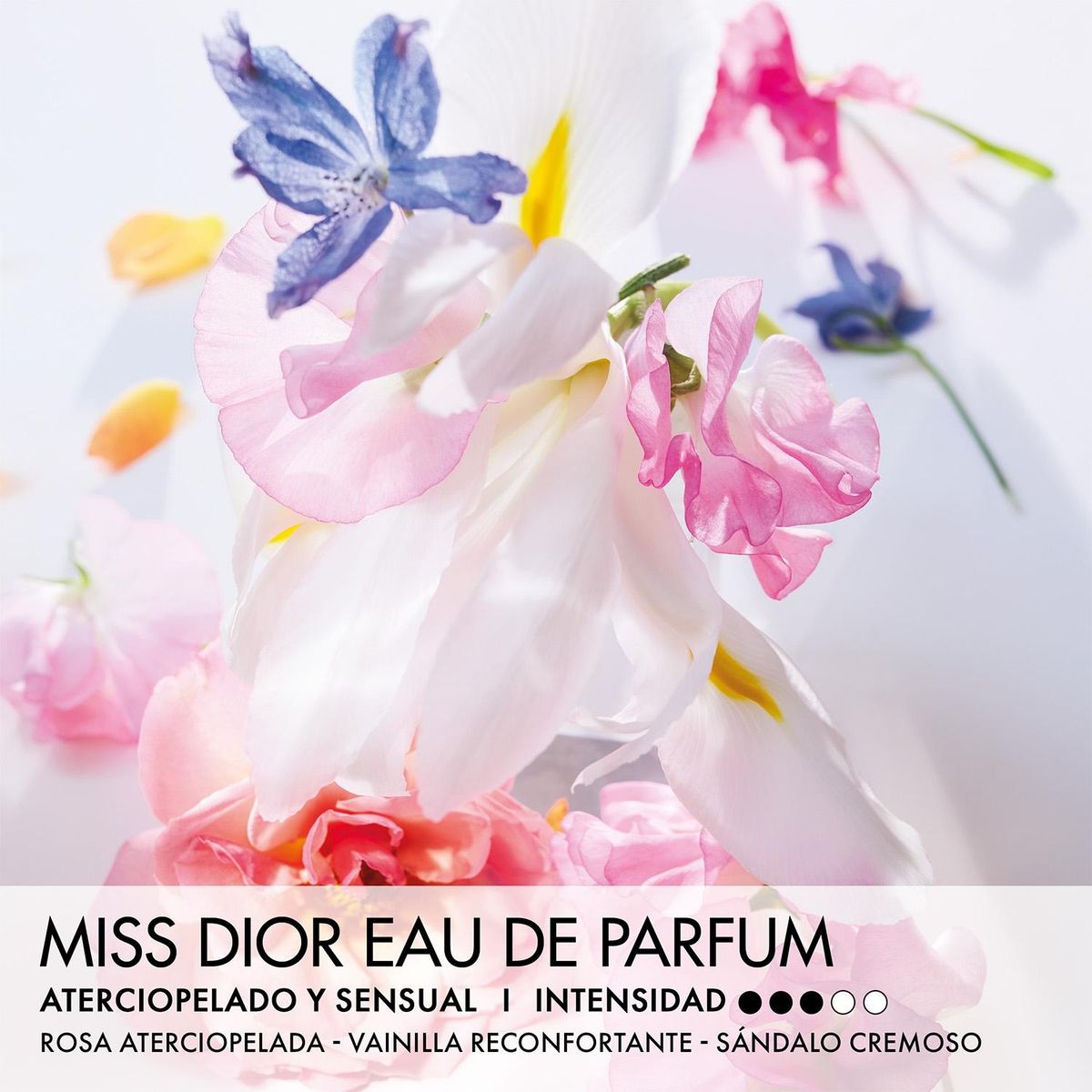 DIOR - Perfume Mujer EDP Dior