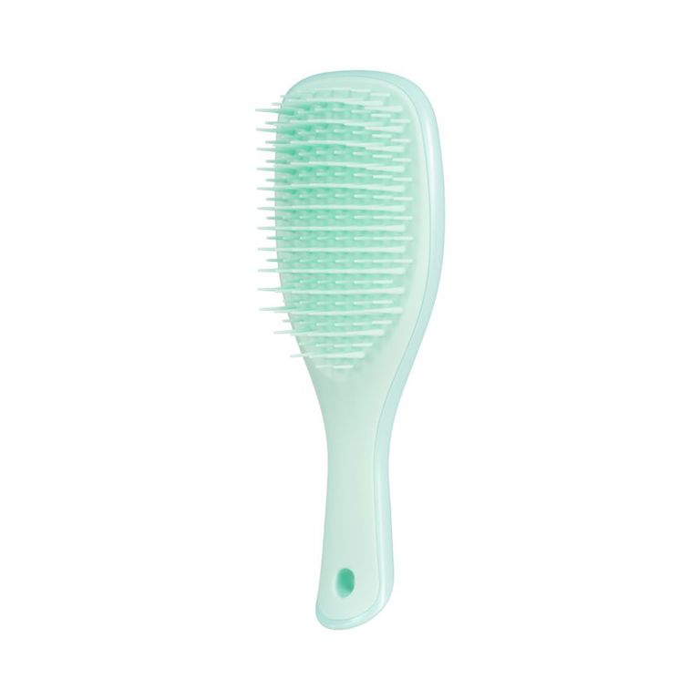 Cepillo Fino Y Fragil Mini Wet Mint